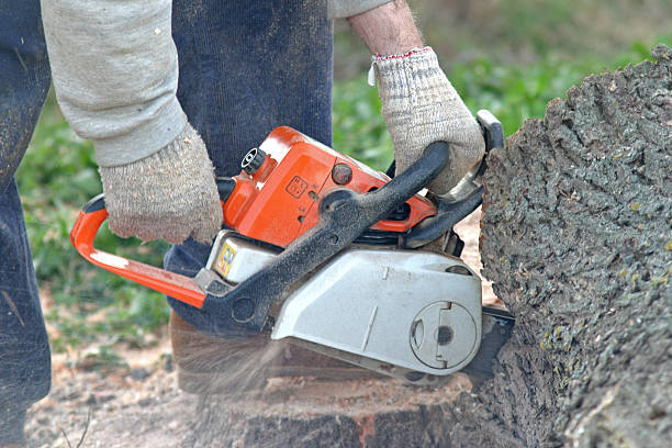 Lawn Grading and Leveling in Vinton, IA